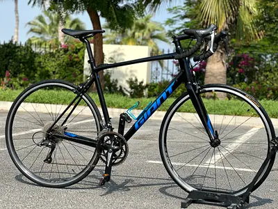 Giant contend Roadbike (L)