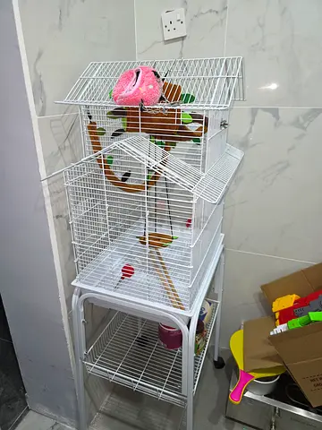White multi-level bird/gliders cage with accessories — good condition