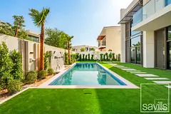 Area Expert | Multiple Options | View Today