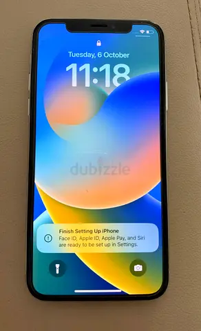 iPhone X 256Gb