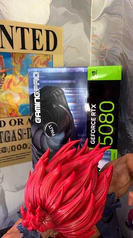 Nvidia Palit GeForce RTX 5080 GamingPro GPU