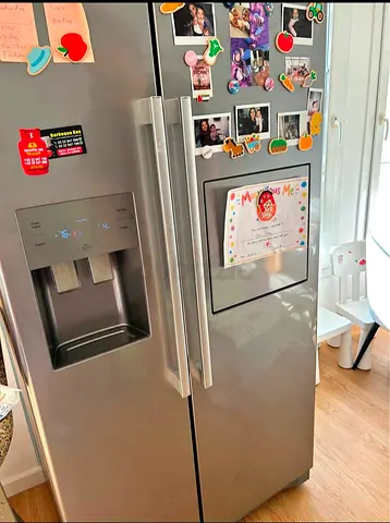 Samsung Latest Model Refrigerator Water Dispenser Ice Maker