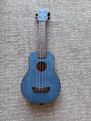Ukulele Flight