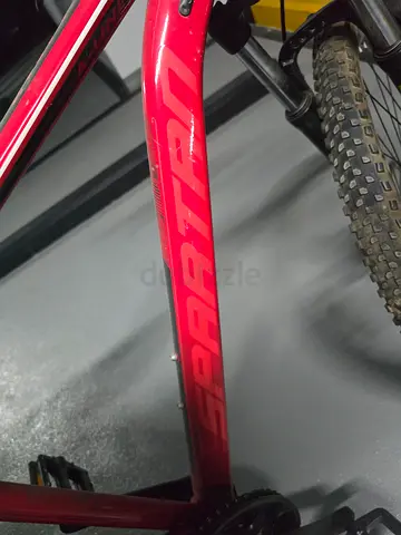 Bicycle for sale