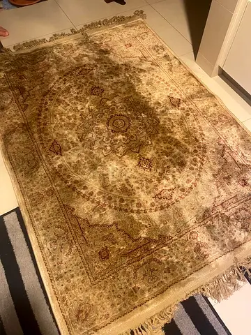 Classic Persian-style area rug - great used condition