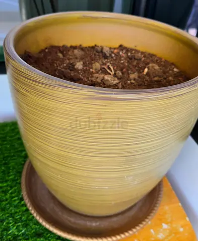 plane pot