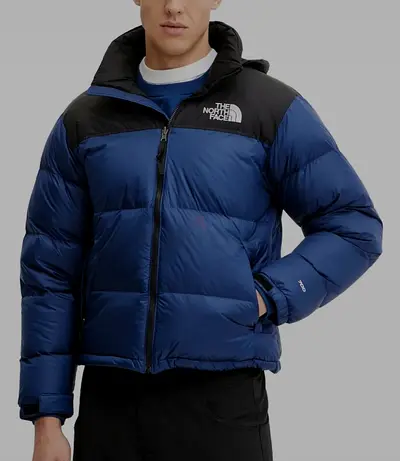 The north face jacket 1996 Retro 700 Nuptse hooded puffer jacket