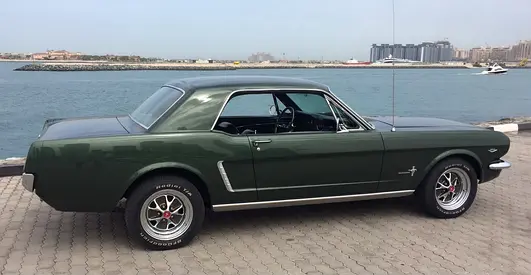 1965 FORD MUSTANG 照片 10