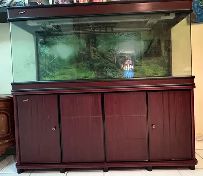 FISH TANK in Excellent condition for sale