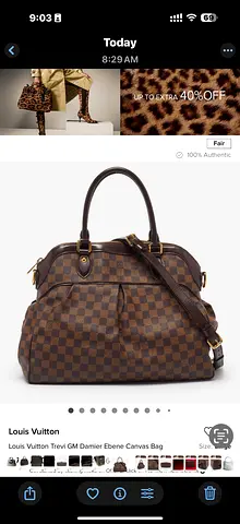Louis Vuitton Trevi GM Damier Ebene Canvas Bag (Size: Large).