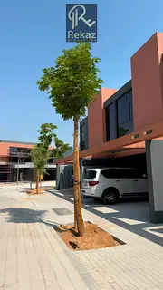 Brand New 4BR Townhouse for Rent | Saro, Massar