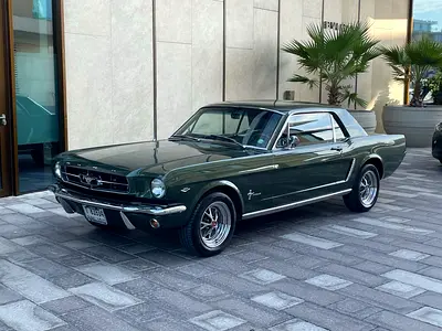 1965 FORD MUSTANG 照片 1