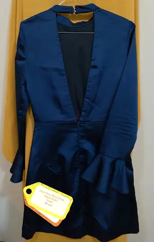 Zara Dress