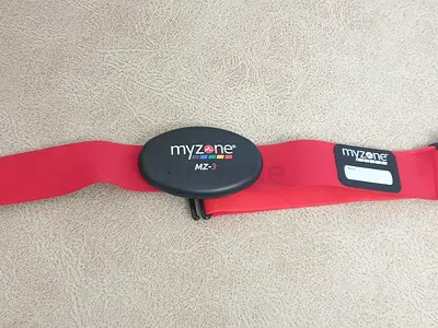 my zone belt