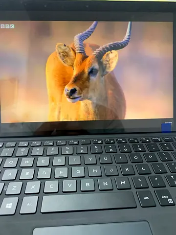 DELL