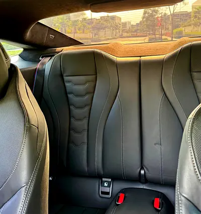 2019 BMW 8-SERIES 缩略图 12