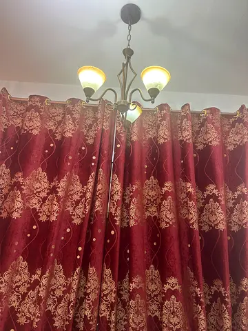 دبي الورقاء