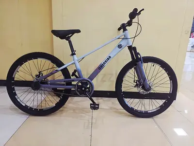 New mountain bike
