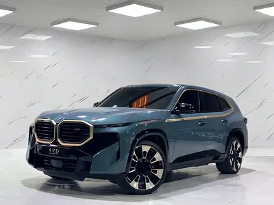2023 BMW XM 照片 3