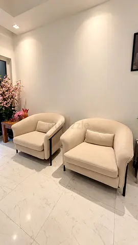 2 Home Centre Velvet Armchairs