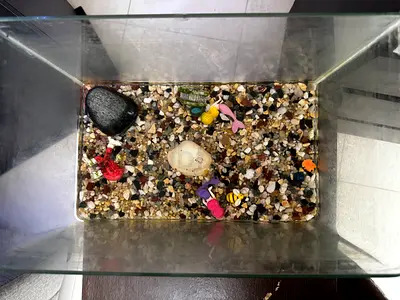 Small glass aquarium tank - used