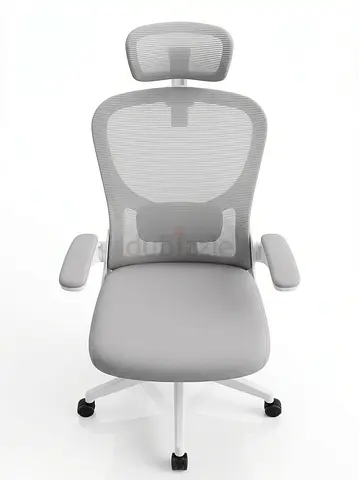 Ergonomic Mesh Office Chair with Headrest - Light Grey