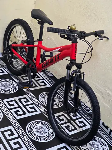 Giant xtc 20 inch bike for kids