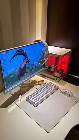 Full Gaming setup