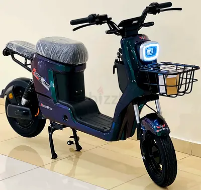 ED01 Electric Bike -2026 New version With Removable Battery