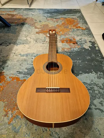 Guitar Alhambra Z-Nature