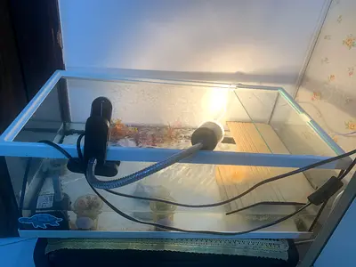 Glass aquarium tank 60cm with heater and filter — used