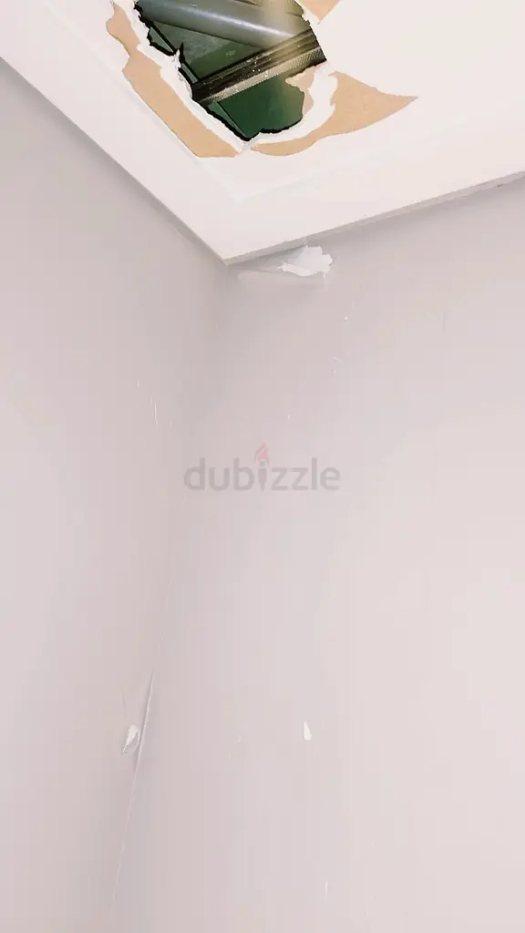 DPV_View_Image_0