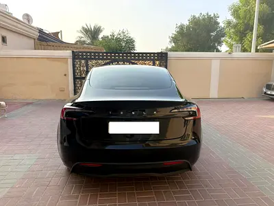 2024 Tesla MODEL 3 照片 3