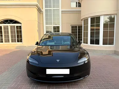 2024 Tesla MODEL 3 照片 1