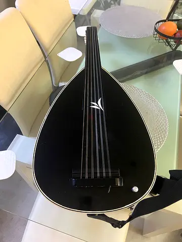 Electric Oud