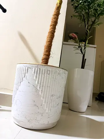 Large size White Ceramic Plant Pot with mose pole Support - Good Condition
