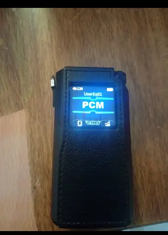 Portable Audio Amplifier with Leather Case (Fiio BTR17)