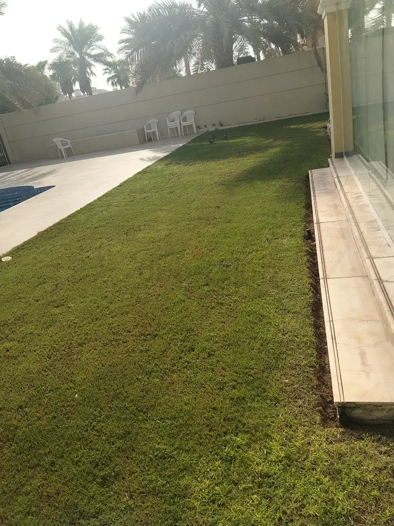 DPV_View_Image_0