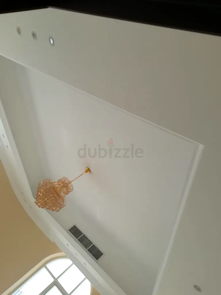 DPV_View_Image_8