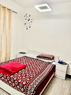 Master Room for rent only for single lady
