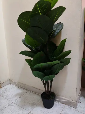 Artificial plants