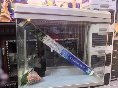 Small glass aquarium tank with lid - used, good condition. Including light and decorative stones