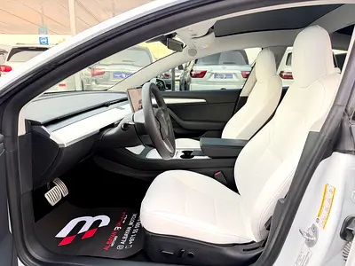 2022 Tesla MODEL 3 照片 8