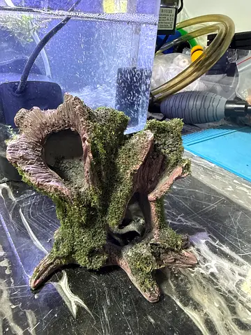 Decorative aquarium driftwood ornament with moss - used