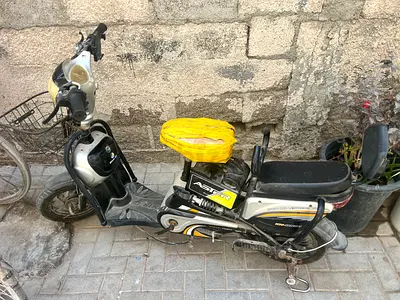 Electric scooter