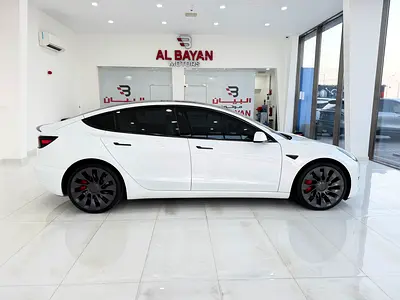 2022 Tesla MODEL 3 照片 6