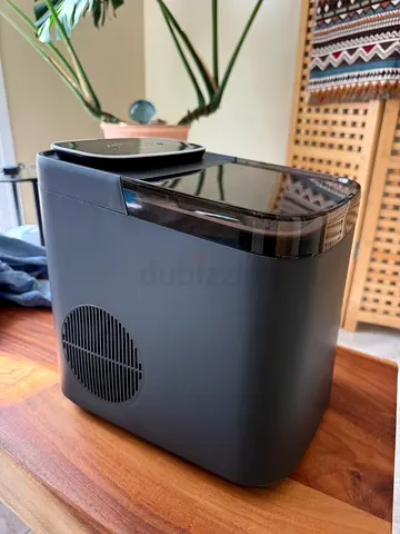 Ice maker