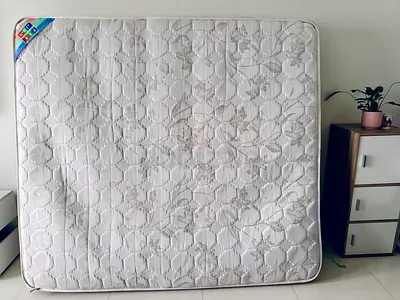 Free Mattress PAN Home spring