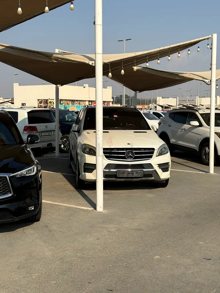 DPV_View_Image_1