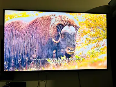 PHILIPS TV for Sale Dhs 500